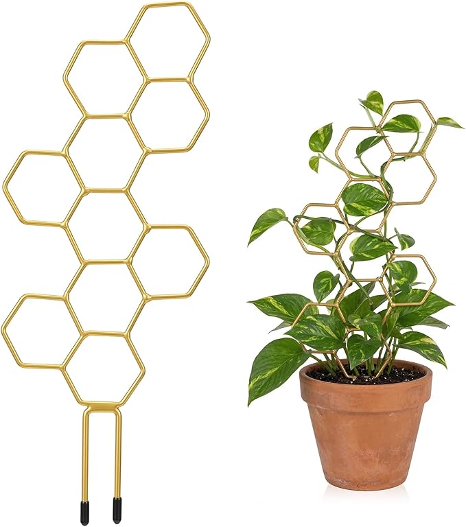 Plant Trellis Indoor, Trellis for Climbing Plants, Hanging Planters for Planting Houseplant Plant Wall, Honeycomb Pothos Planting Climber Support for Flower Indoor Plants Supports(Gold)