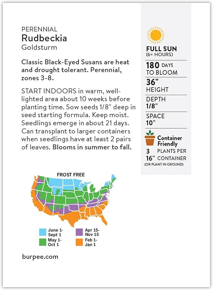 Burpee Rudbeckia 'Goldsturm' Seeds - Classic Perennial Coneflower