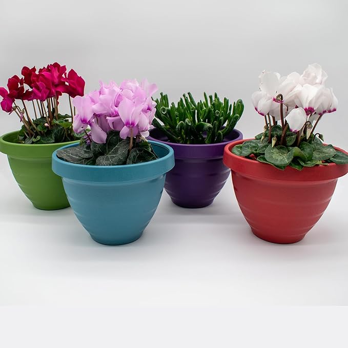 The HC Companies Rings Flower Planter - Self Watering Plant Pots for Herbs & More - Round Lightweight Outdoor & Indoor Planter (10" Dark Green, Pack of 1)