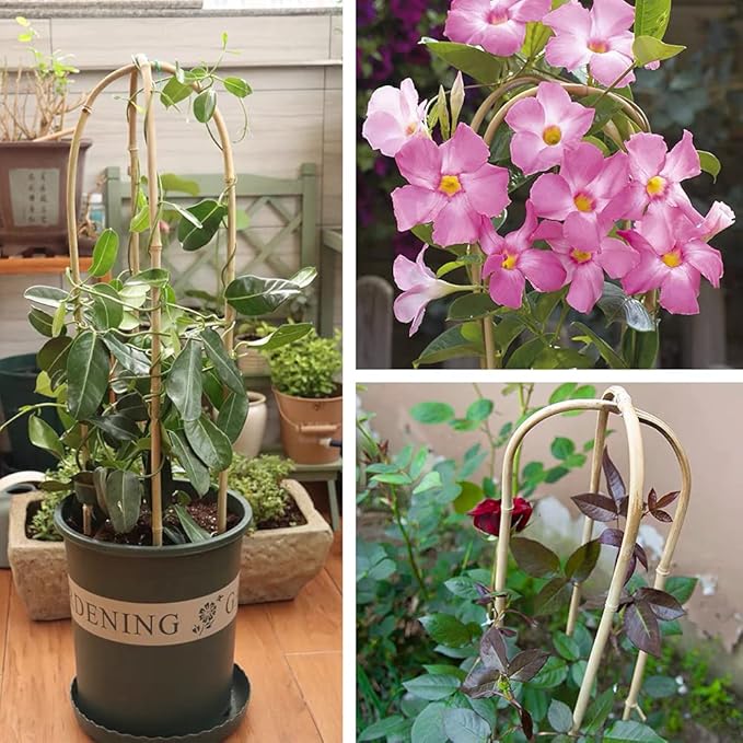 Natural Bamboo Plant Trellis U-Hoop 4 Feet Arch Bamboo Garden Trellis Support for Climbing Plants Outdoor Vines Ivy Plants Climbing Flowers Plant Tower - Pack of 3 Hoops