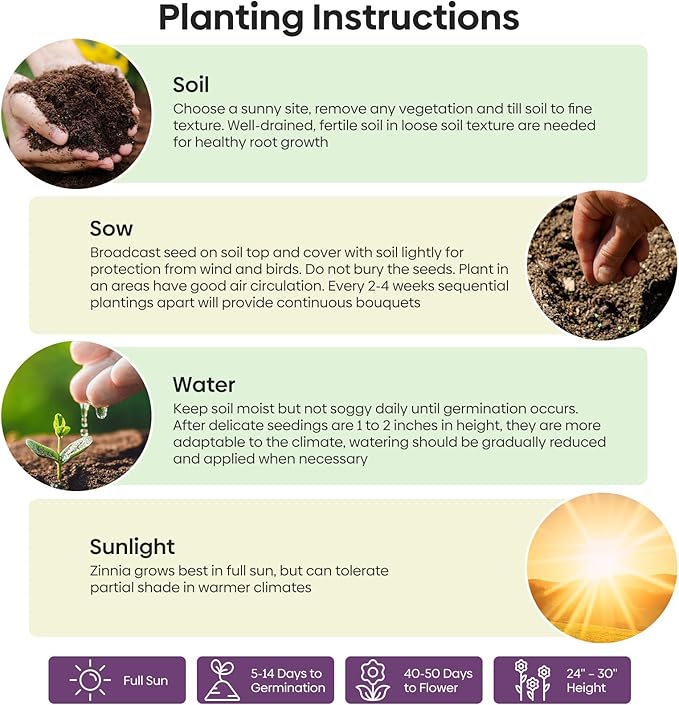 Zinnia Seeds Mix, 1 Oz, Over 3,000 Flowers Seeds, 5 Varieties (Pink, Yellow, Orange, White, Purple), Mixed Colors and Large Blooms,Open Pollinated - Bulk