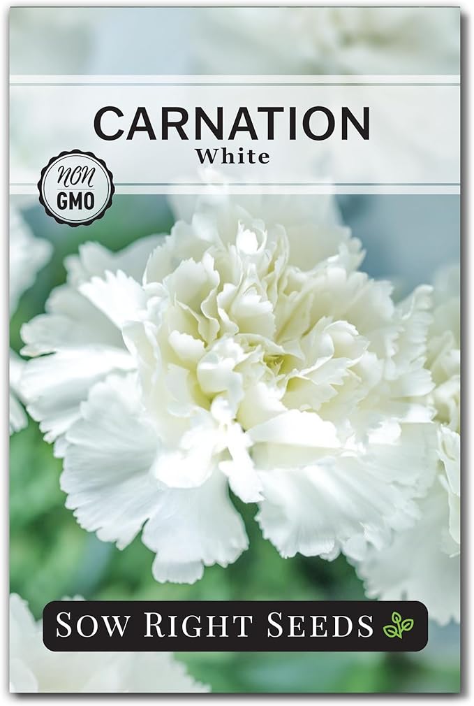 Sow Right Seeds - White Carnation Seeds for Planting - Grow Beautiful Dianthus Blooms in Your Garden - Perfect for Growing Outdoors or Using for Bouquets - Non-GMO Heirloom Vibrant Garden Flowers (1)