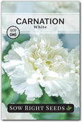 Sow Right Seeds - White Carnation Seeds for Planting - Grow Beautiful Dianthus Blooms in Your Garden - Perfect for Growing Outdoors or Using for Bouquets - Non-GMO Heirloom Vibrant Garden Flowers (1)