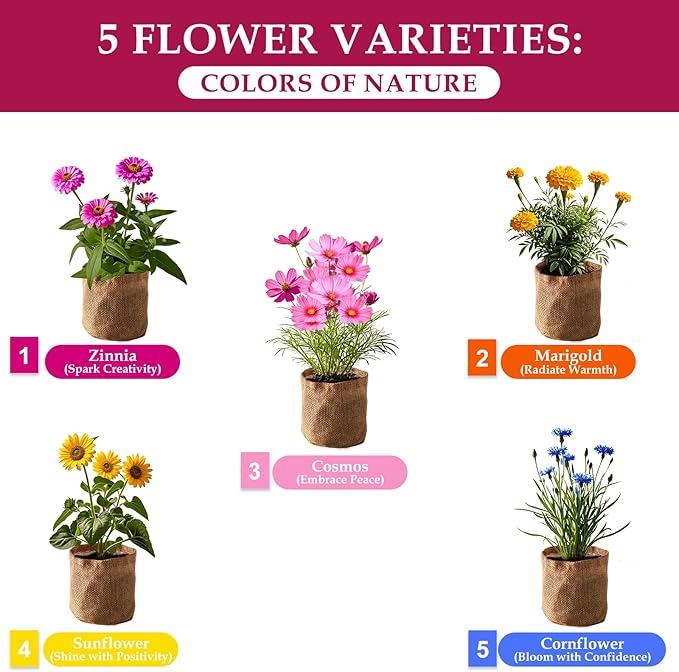 5 Indoor Flowers Growing Kit for Beginners, Complete Planting Starter Set with Zinnia, Cosmos, Sunflower, Marigold, Cornflower Seeds, Unique Gardening Gifts for Women & Men