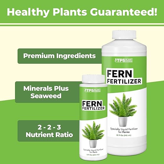 Fern Fertilizer – Liquid Plant Food for Fuller Fronds, Deep Green Color & Lush Growth, 8 oz
