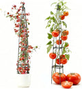 Garden Obelisk Trellis for Climbing Plants, 67inch lron Pipe Wrapped in Plastic Plant Support, Rust-Resistant Outdoor Garden Structure for Roses, Vines, and Flowers, Easy Assembly, Durable Design.