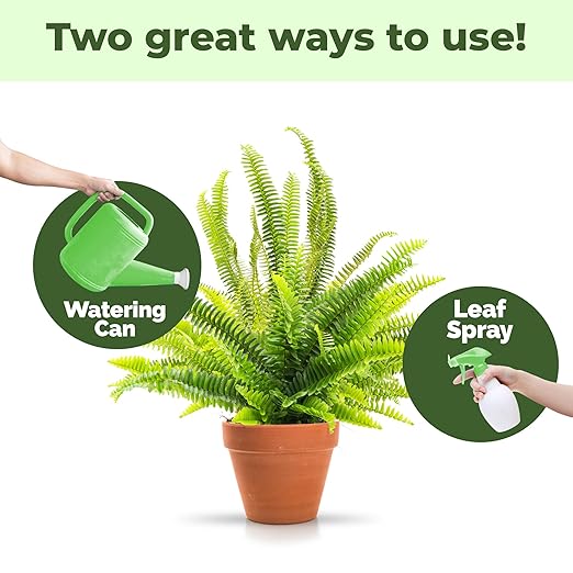 Boston Fern Fertilizer – Liquid Plant Food for Fuller Fronds, Rich Green Color & Healthy New Growth, 32 oz