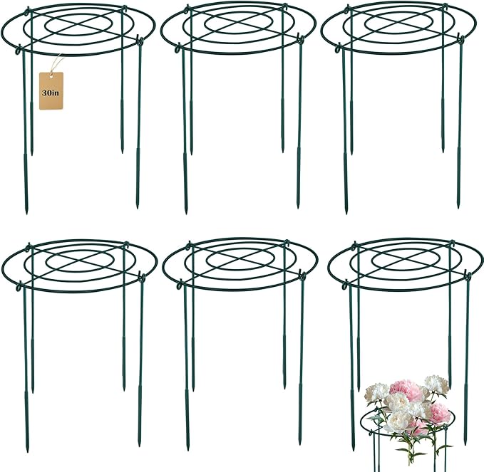 6Set Metal Peony Grid Cages, 30"H X 13"D Large Flower Support Cages Grow Through Hoop Ring Peony Stakes Garden Plant Support Rings Heavy Duty Plant Braces Peonies Structure for Outdoor Plants Blossoms