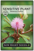 Sow Right Seeds - Sensitive Plant Mimosa Pudica Seeds for Planting - Non-GMO Heirloom Easy to Grow Touch-Me-Not - Unique Blooms - Grow Indoor or Outdoor - Great for Kids - Fun Interactive Flower (1)