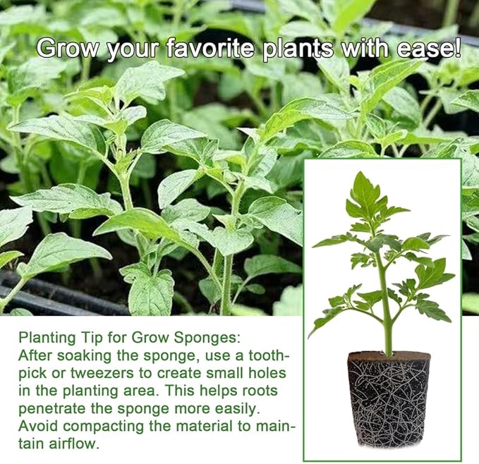 50 Packs Cuttage Grow Sponges, Pods Root Growth Sponge Eco Friendly PH Balance, Square Sponge Replacement Part Seedling Starter Sponges for Hydroponic Indoor Garden System Cuttage Rooting
