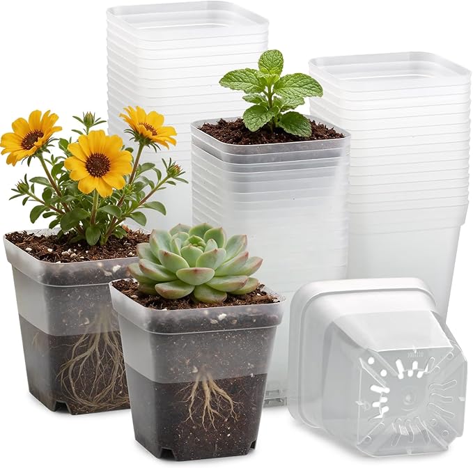 60 Pcs Clear Square Nursery Pots 4 Inch, Reusable Seedling Pots with Drainage Holes, Transparent Small Plant Potting Pot Containers for Seedlings Microgreens, Flowers, Indoor Gardening