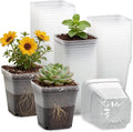 60 Pcs Clear Square Nursery Pots 4 Inch, Reusable Seedling Pots with Drainage Holes, Transparent Small Plant Potting Pot Containers for Seedlings Microgreens, Flowers, Indoor Gardening