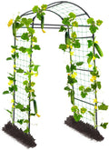 Garden Arch Cucumber Trellis for Climbing Plants Outdoor, 6.7ft Tall Archway Arbor Plant Support Grape Vine Tomato Pea Bean Trellis for Raised Bed Backyard, Black