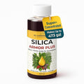Silica for Plants with Humic Acid – Liquid Houseplant Fertilizer & Plant Food for Indoor Potted Plants – Monstera, Pothos & Tropical Indoor Plants, Water Soluble Nutrients (16 oz)