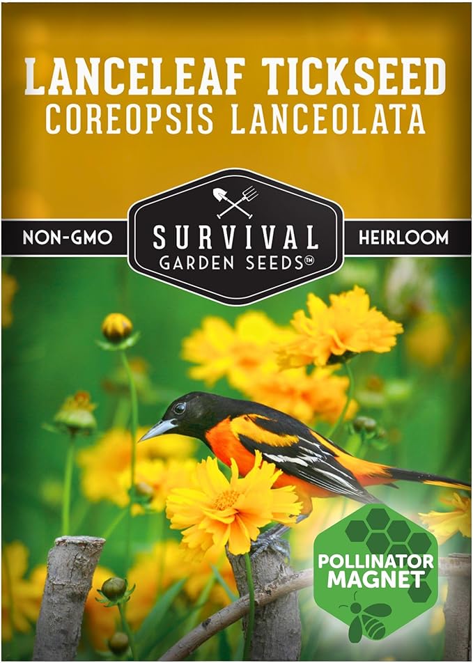 Native Lanceleaf Tickseed Seeds for Planting (Coreopsis Lanceolata) | Golden Yellow Blooms | Heat & Drought Tolerant Wildflower - Survival Garden Seeds - 1 Pack