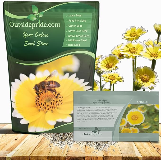 Outsidepride Tidy Tips Seeds - 1/8 lb Annual Dazzling Golden-Yellow & White Blooms, Drought Tolerant, Self-Seeding, Ideal for Rock Gardens, Flower Boxes, Borders, Xeriscape & Low-Water Landscapes