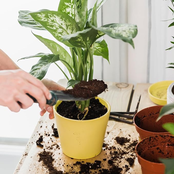 Organic Pothos Soil Mix 1qt, Indoor Plants Potting Mix for All Potted Pothos, Grow Healthy houseplants Indoors