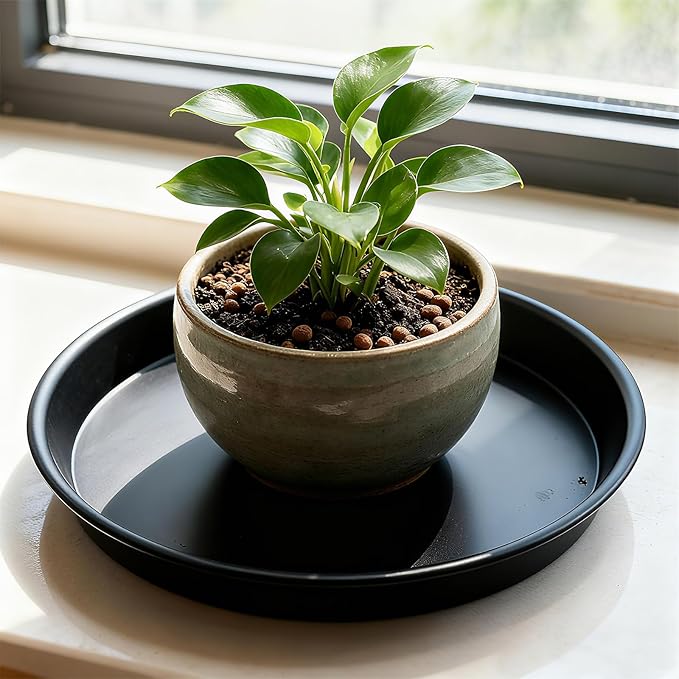 TITE Plant Saucer 14 inch,Heavy Large Planter Durable Thicker Plastic Plant Trays for Indoors and Outdoor,Plant Saucer Drip Trays,Black (14 inch, Black)