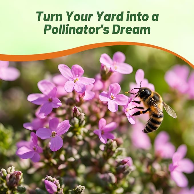 Outsidepride Magic Carpet Creeping Thyme Seeds - 500 Pcs. Perennial, Fragrant, & Drought Tolerant Ground Cover Seeds for Planting Pink Flowers in Pathways, Slopes & Pollinator-Friendly Landscaping