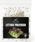 Fall & Winter Lettuce Prizehead Seeds for Indoor & Outdoor Planting – 500+ Non-GMO Heirloom Crisp Red Leaf Lettuce, High Germination (Lactuca Sativa)