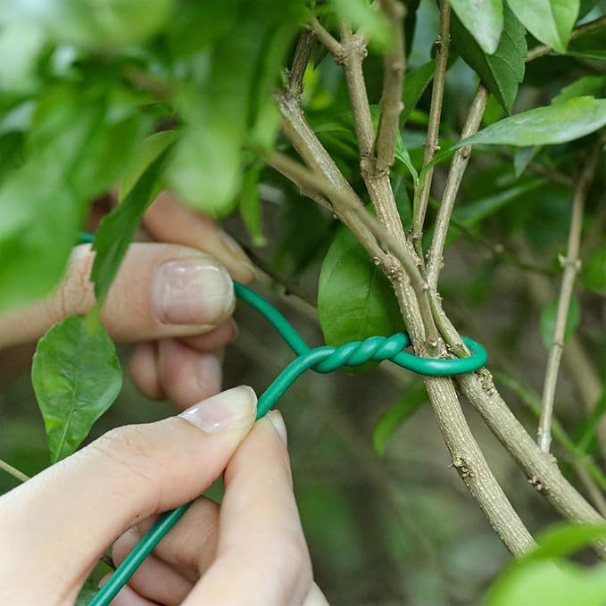 Zhengmy 250ft/76m Green Garden Wire,with Wire Cutter,Sturdy Plant Ties,Twist Garden Ties Gardening Supplies 2.5 mm Diameter for Supporting Climbing Plants Office Organization and Decoration Binding