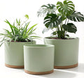 10/9/8 Inch Large Plant Pots with Drainage Holes and Trays, 3 Pack Modern Minimalist Cylinder Planters for Monstera, Snake Plant, Indoor Outdoor (Matte Green & Brown)
