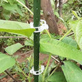 100Pcs White Secured Plastic Plant Clip, Plant Clips for Climbing Plants,Plant Clips for Climbing Plants,Plant Support Garden Clips Plant Support Structures