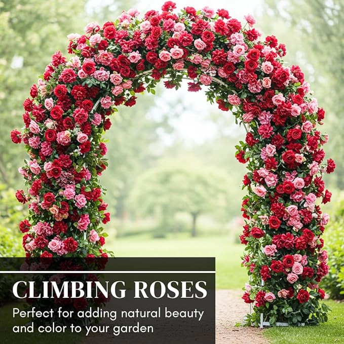 Climbing Rose Vine Seeds - 30+ Seeds for Planting – Beautiful Blooms – Ideal for Trellises, Fences, and Garden Walls – Fast-Growing Flower Seeds for Outdoor Planting