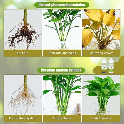 Hydroponic Nutrient Bundle Base A&B, Professional Liquid Fertilizer for Healthy Vegetative & Blooming Plants, Ideal for Hydroponic Systems, 2 * 8oz Bottles