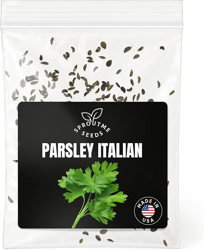 Fall & Winter Parsley Seeds for Indoor & Outdoor Planting – 200+ Non-GMO Heirloom USA-Grown Fresh Culinary Herb with High Germination (Petroselinum crispum)