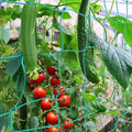 Trellis Netting, PDGROW Climbing Plant Support Net Garden Pea Bean Neting, Heavy-Duty PE Trellis Net for Cucumber, Tomato, Vegetables, Fruits, Sweet Pea Plants (6.6' x 8.2'Ft)