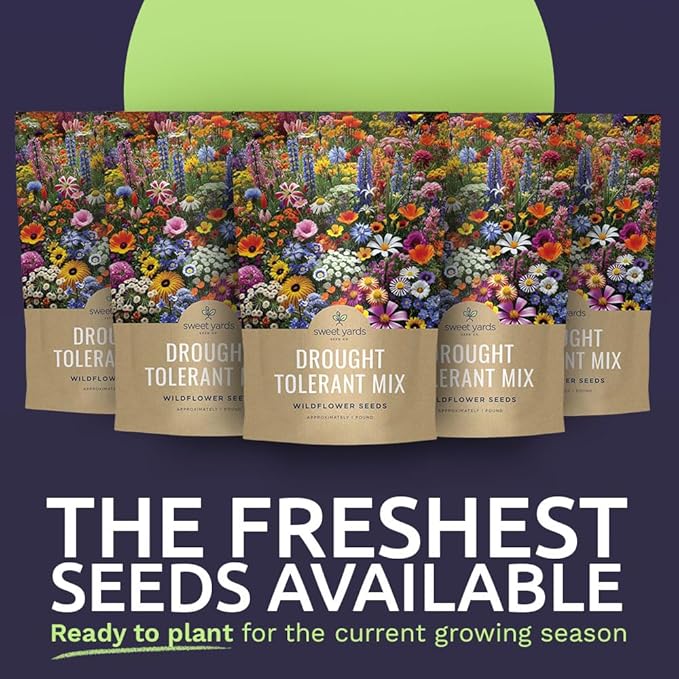 Drought Tolerant Wildflowers Mix – Bulk 5 Pounds – Over 600,000 Open Pollinated Non-GMO Seeds – 21 Different Dryland Species