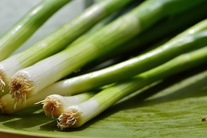 Seeds Vegetable Welsh Onion Bunching Green - 300 Seeds