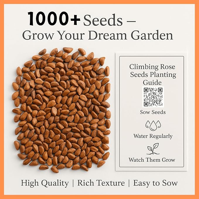1000+ Climbing Rose Seeds Mixed 9 Color - Non-GMO Perennial Vine Flower for Garden Decor, Arch Fence Trellis, Easy to Plant Outdoor Blooming Seeds for DIY Gardeners, Home Landscaping