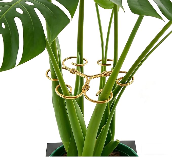 4PCS Iron Monstera Plant Support - 4.1IN Plant Support Stakes for Indoor Plants, Stable Plant Stakes and Supports, Ideal Plant stem Support for Turtle Shell Bamboo & Houseplants