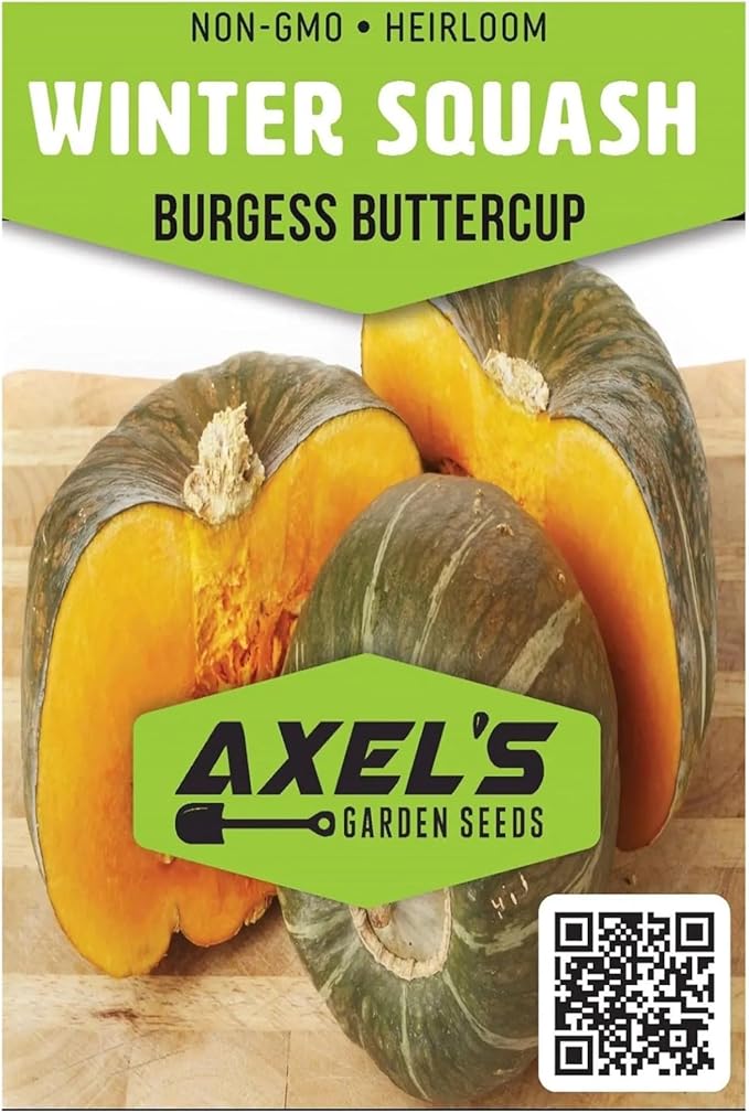 Winter Squash Seeds for Planting – Plant & Grow Burgess Buttercup Squash – Instructions to Plant Non GMO Heirloom Home Outdoor Vegetable Garden – Great Gardening Gift, 1 Packet