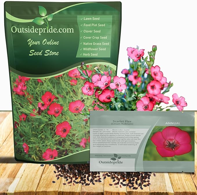Outsidepride Scarlet Flax Seeds - 1 lb Annual Flower Seeds for Planting, Self-Seeding, Drought-Tolerant w/Compact Growth, for Small Gardens, Meadows, Borders, or Mass Plantings