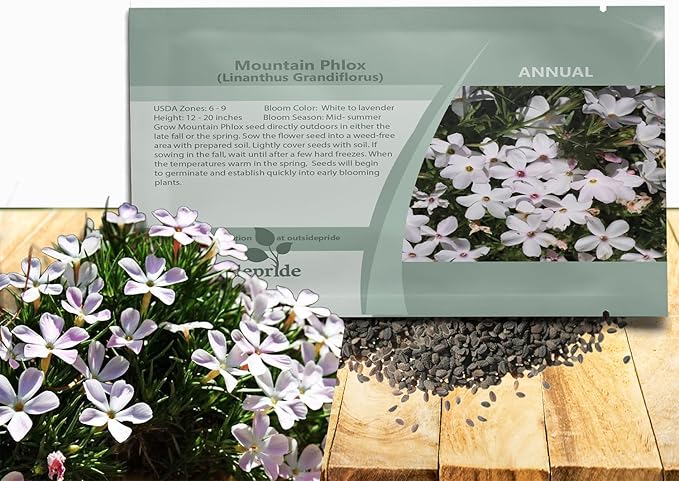 Outsidepride Mountain Phlox Seeds - 5000 Pcs. Annual, Compact & Self-Seeding Flower Seeds for Planting Vibrant White-Lavender Blooms in Pollinator Gardens, Borders, Containers & Floral Arrangements