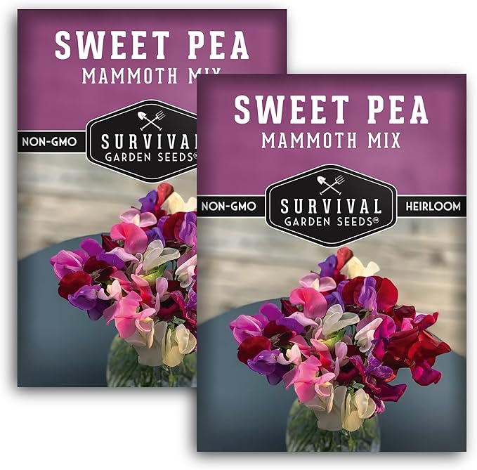 Mammoth Mix Sweet Pea Seeds for Planting – Heirloom Sweet Pea Variety with Giant Fragrant Flowers on Tall Climbing Vines for Trellises and Fences – Survival Garden Seeds (2 Packs)