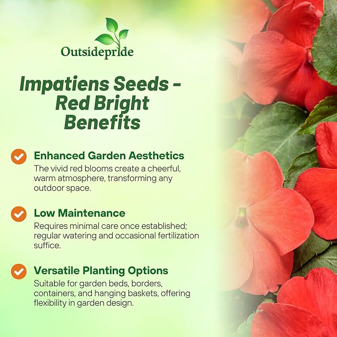 Outsidepride Beacon Red Bright Impatiens Flower Seeds - 150 Pcs Annual, Compact & Pollinator Friendly, Impatiens Seeds for Planting w/Vibrant, Abundant Blooms for Shade Gardens & Container Displays