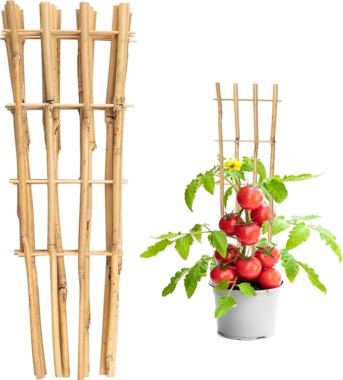 10 Pack 16" Bamboo Trellis for Climbing Plants, Fan-Shaped Natural Garden Ladder Trellis for Climbing Plants Potted Plants House Plants