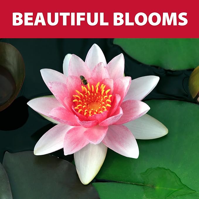 The Pond Guy Planting Soil for Decorative Backyard Water Gardens & Patio Ponds, Premium Natural Plant Media for Aquatic Horticulture, 4 Quarts