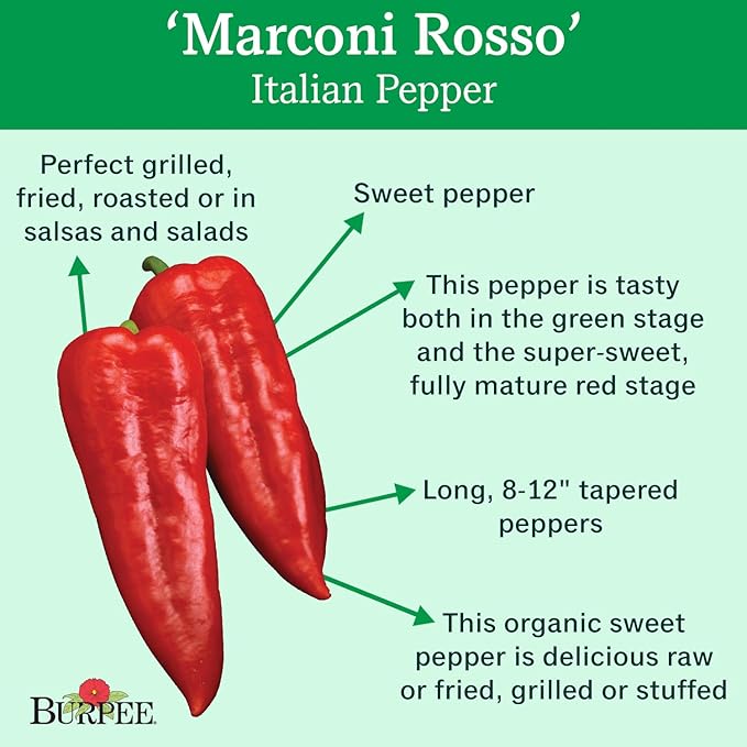 Burpee Marconi Rosso (Organic) Sweet Pepper Seeds 20 seeds