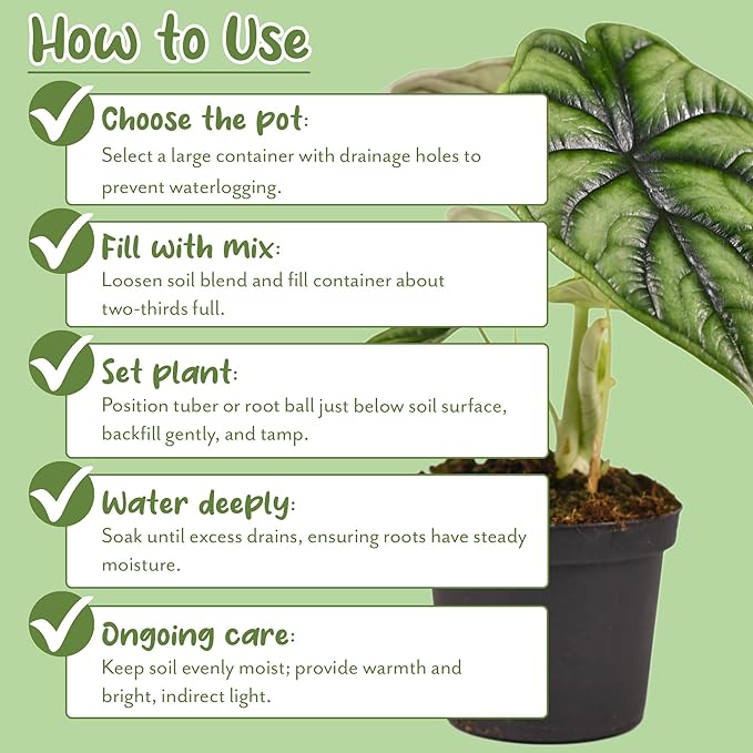 Soil Sunrise Elephant Ear Potting Soil Mix (8 Quarts) Colocasia and Alocasia Potted Plant Blend