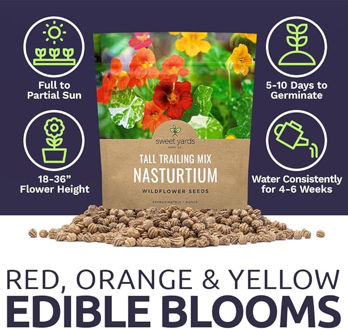 Nasturtium Seeds – Mixed Colors – Extra Large Packet – Over 200 Open Pollinated Non-GMO Flower Seeds – Tropaeolum majus