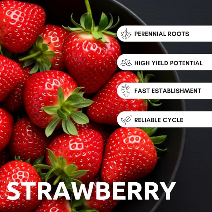 Berry Bliss Vegetable Garden Seeds – Heirloom Red Strawberry Variety – Vibrant, Flavorful, Easy-to-Grow Vegetables for Fresh Salads, Cooking & Home Garden Fun