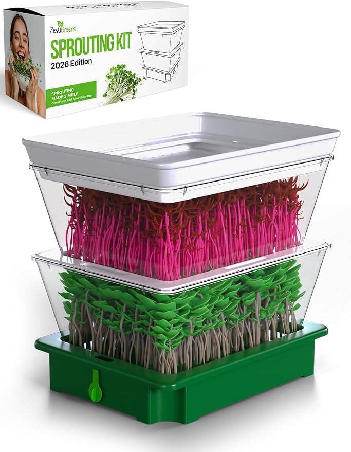 2026 Upgraded 2-Tier Stackable Seed Sprouter with Air Holes & Easy Sink-Draining Spout Tray – Soil-Free Sprouting System for Broccoli, Alfalfa & Bean Sprouts.