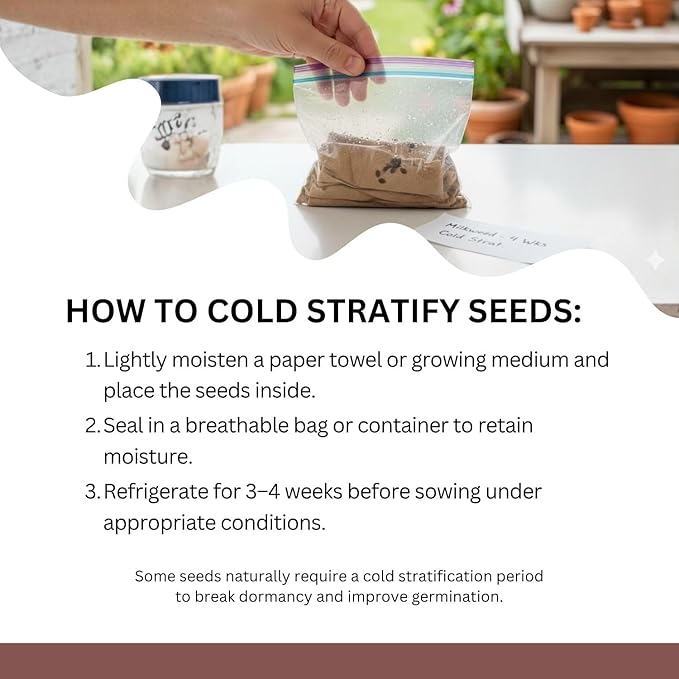 Native Milkweed Variety Pack - 5 Essential Species for Monarch Butterfly Gardens - Common, Swamp, Butterfly Weed, Showy & Narrowleaf - Non-GMO Native Wildflower Seeds for Pollinators
