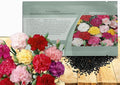 Outsidepride Chabaud Mix Carnation Seeds - 2000 Pcs Perennial, Easy to Grow Flower Seeds for Planting with Fragrant Blooms, Ideal for Pollinators, Cutting Gardens, Bouquets, & Floral Arrangements