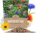 Northeast Wildflower Seeds - Extra Large 1 Ounce Packet - Over 7,500 Native Seeds - Open Pollinated and Non GMO Varieties for New York, Virginia, Pennsylvania, Maine and More!